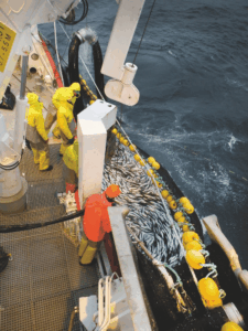 Polyform BPB Series Purse seine floats in use on a commercial fishing boat